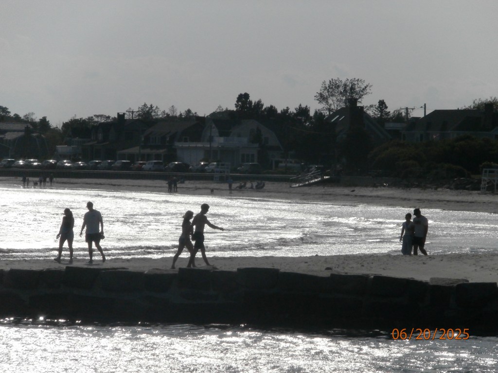 Jun. 2025 Selections –&nbsp;DCIM_340