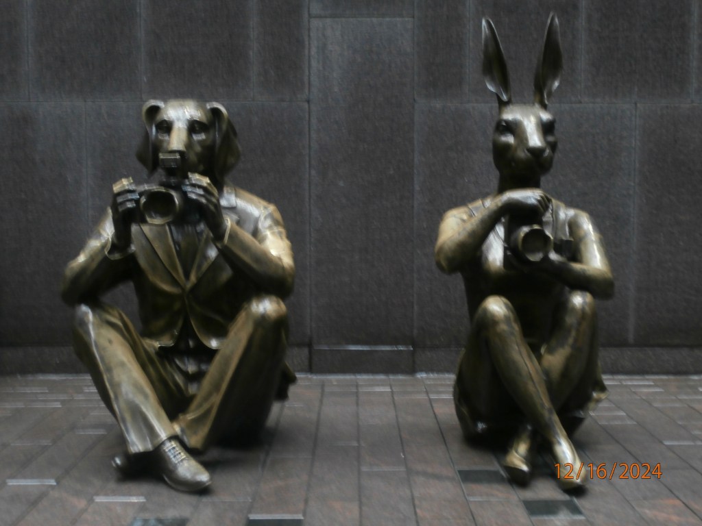 Dec. 2024 Selections –&nbsp;DCIM_340