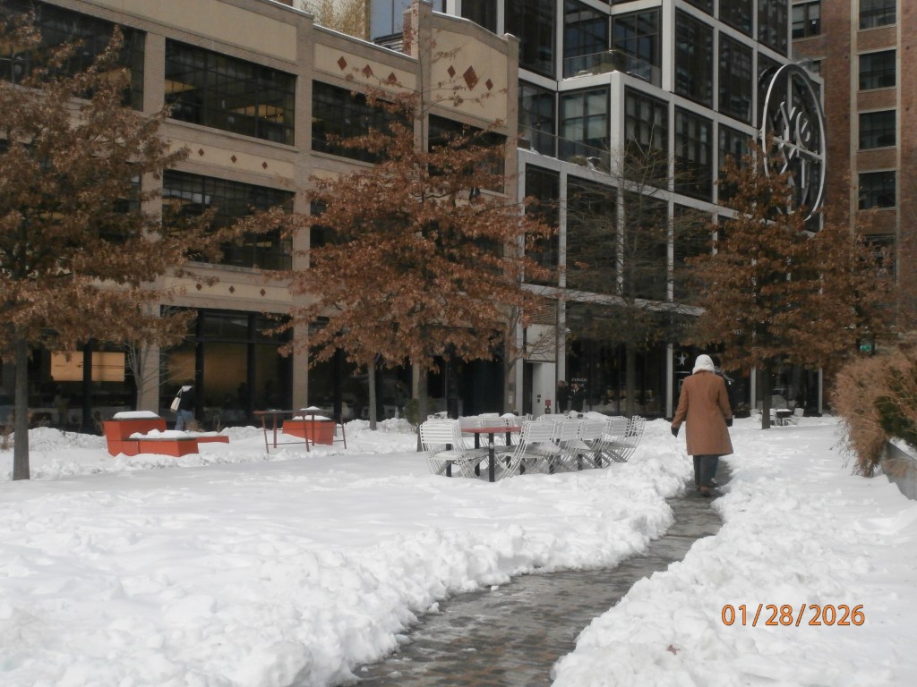 Jan. 2025 Selections –&nbsp;DCIM_340