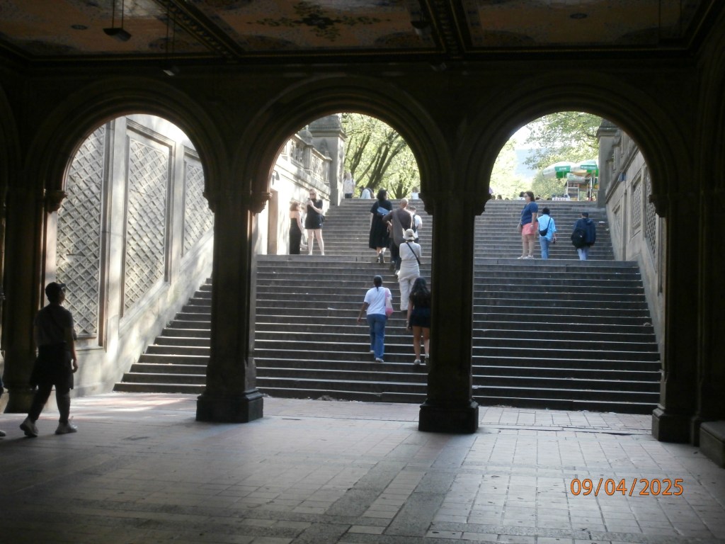 Sep. 2025 Selections –&nbsp;DCIM_340