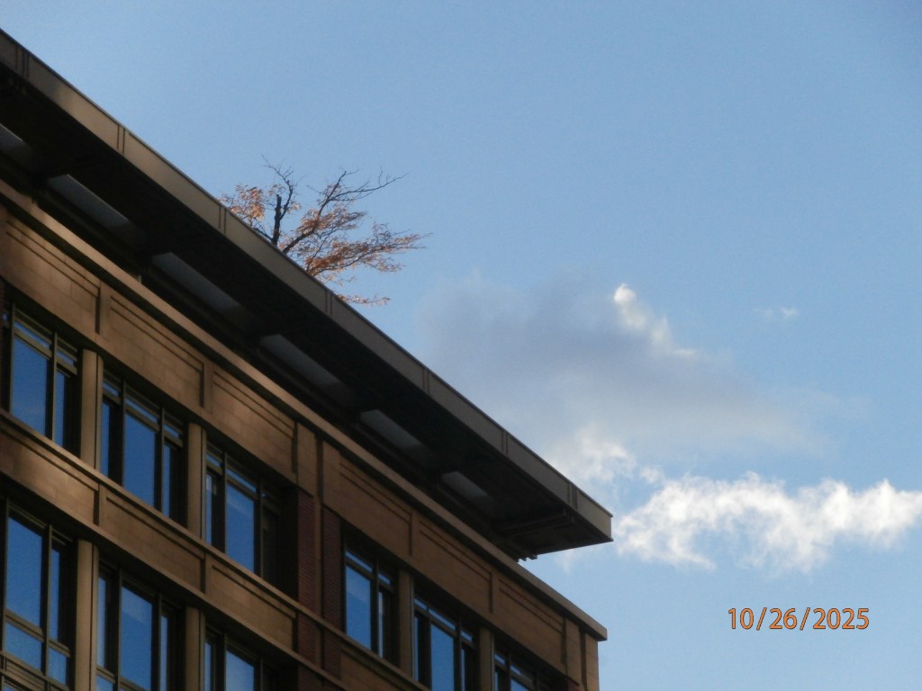 Oct. 2025 Selections –&nbsp;DCIM_340