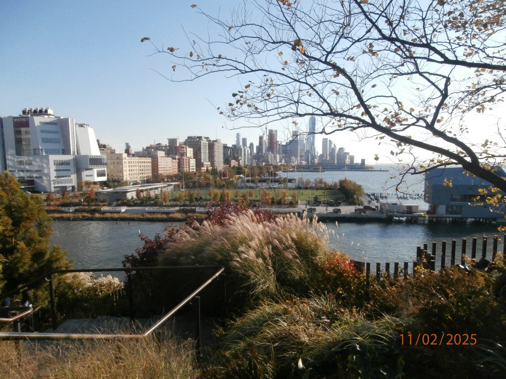 Nov. 2025 Selections –&nbsp;DCIM_340