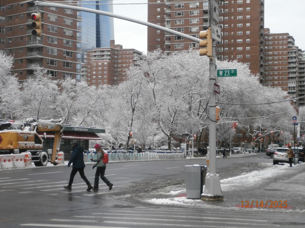 Dec. 2025 Selections –&nbsp;DCIM_340